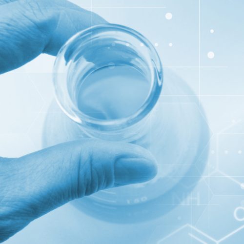 shutterstock_613237955